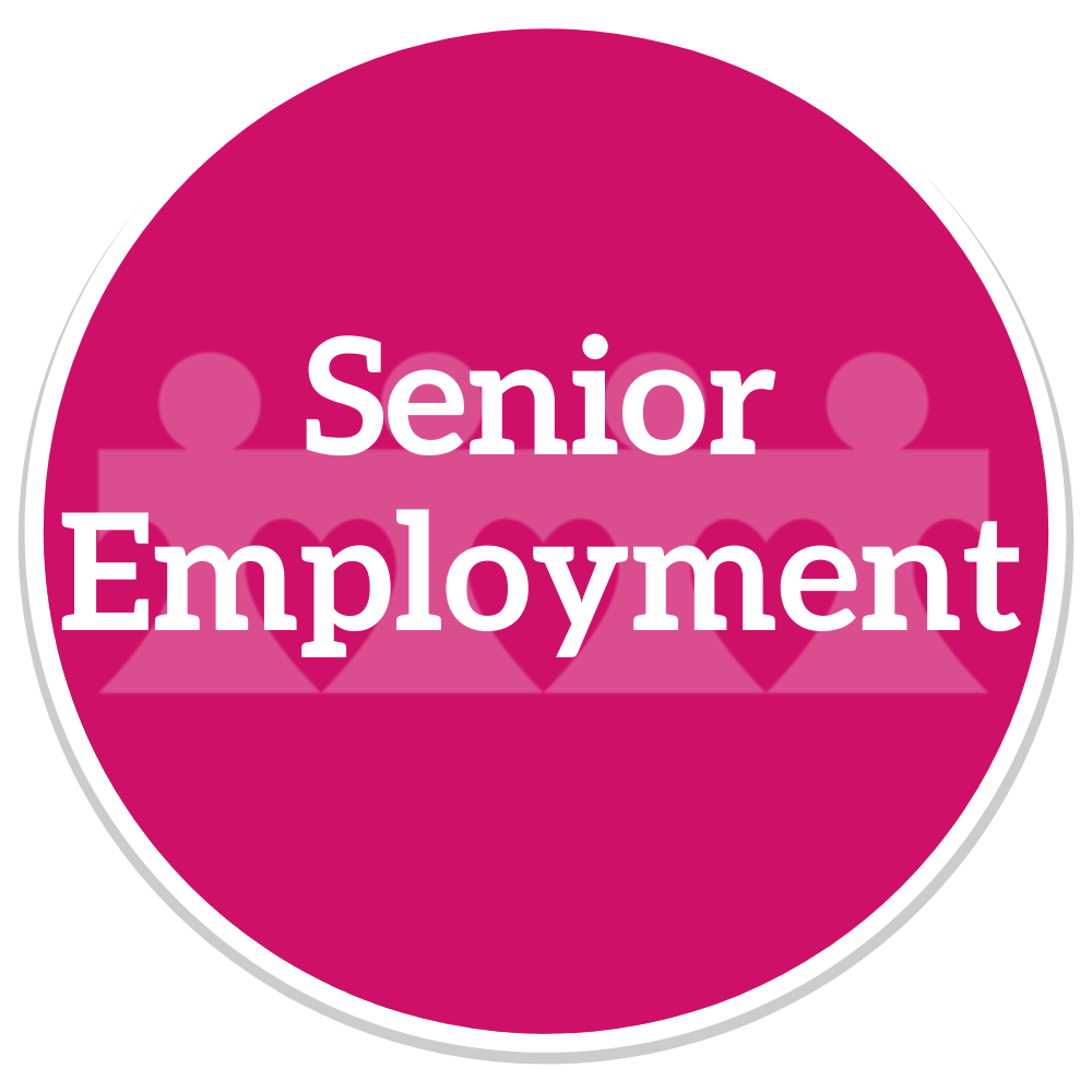 senior employment